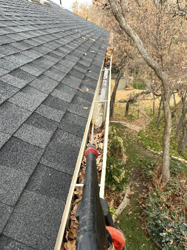Professional gutter cleaning in progress along a tree-lined roof